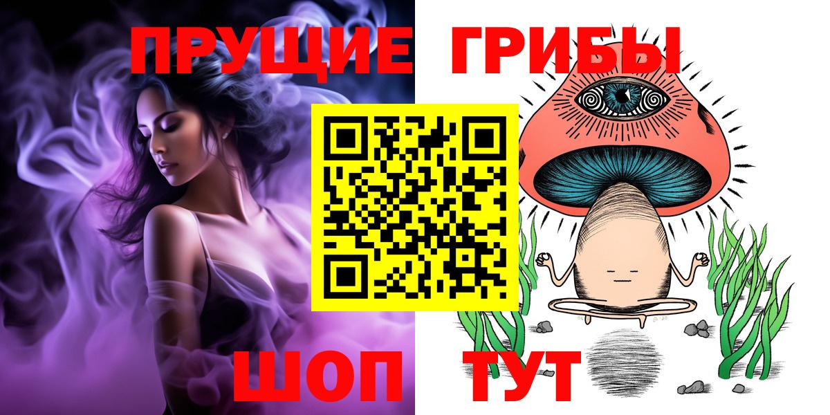 Псилоцибиновые грибы Psilocybine cubensis Михайловск