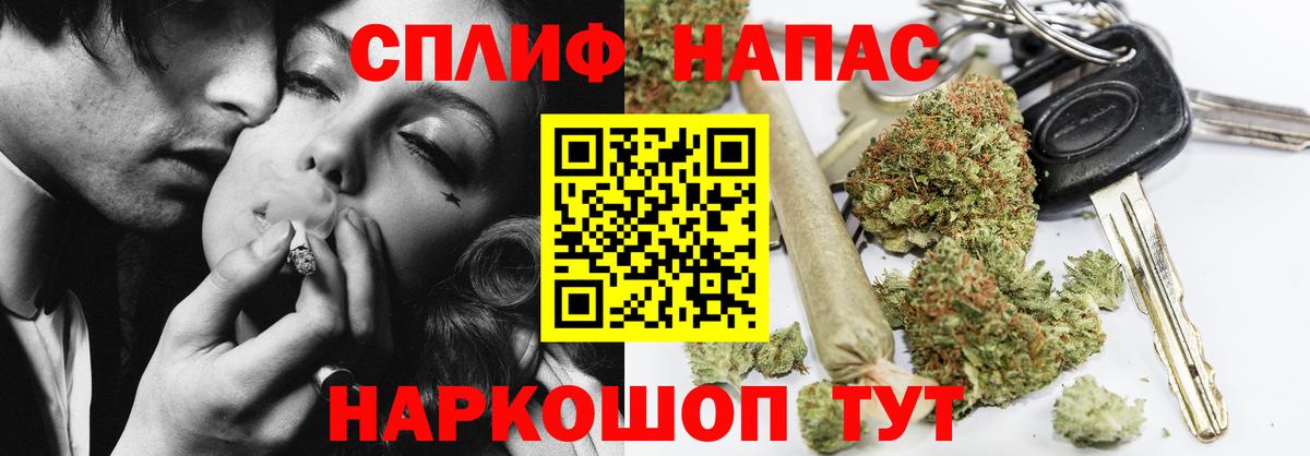 Канабис сатива Михайловск